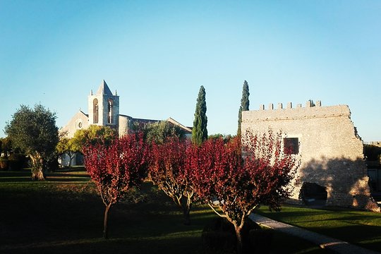 Tour image 3