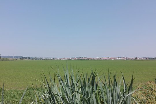 Tour image 4