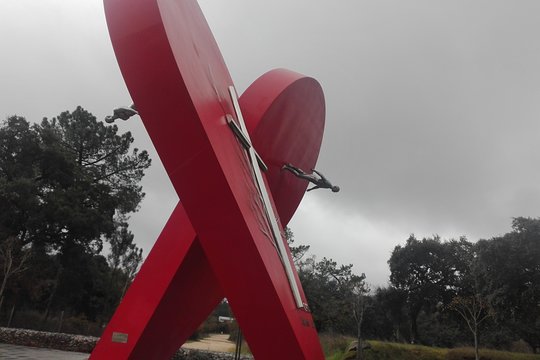 Tour image 6