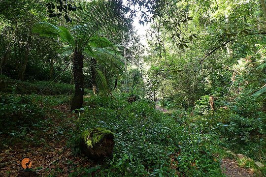 Tour image 12