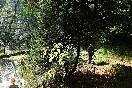 Tour image 6
