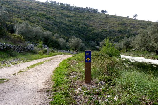 Tour image 12