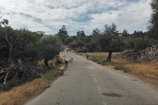 Tour image 4