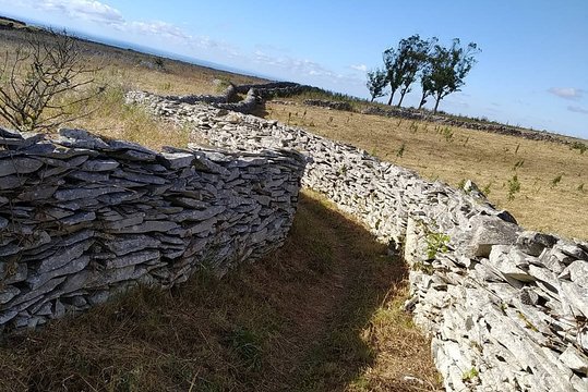 Tour image 5