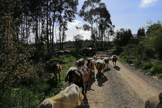 Tour image 14