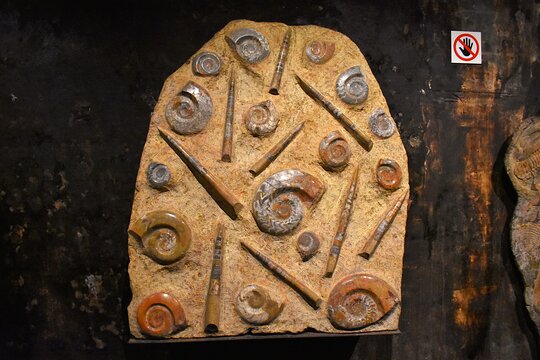 Tour image 11