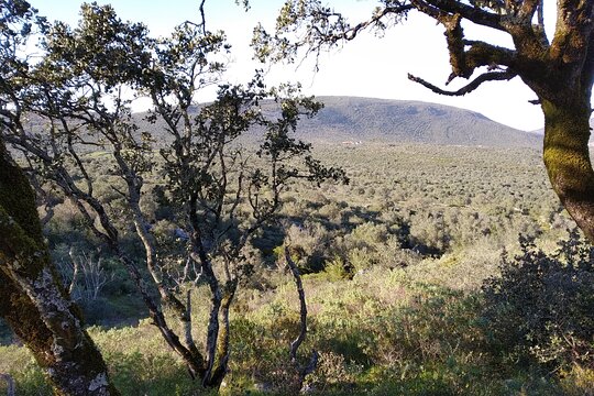 Tour image 7