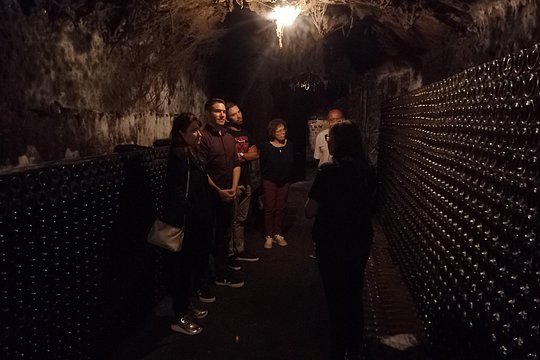 Tour image 12