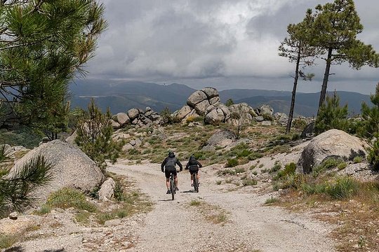 Tour image 5