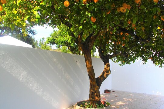 Tour image 7